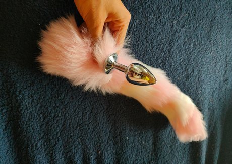 pau2611 Photo Gallery