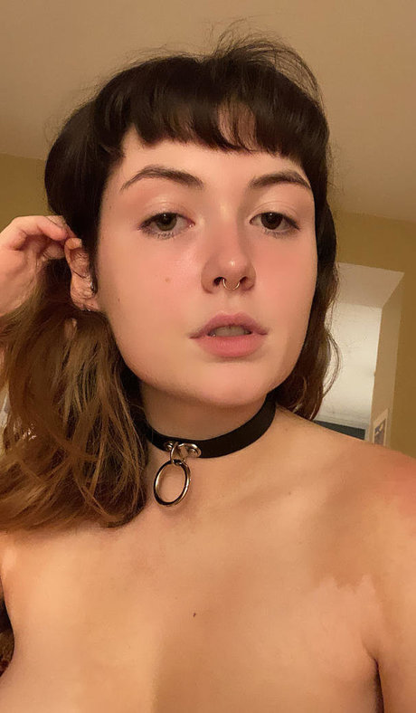 dankzestykale beautiful pornstar galleries