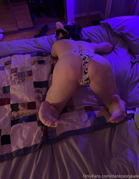 dankzestykale star nice photos