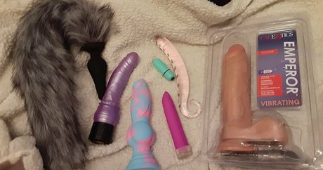 sunnyssunfree star perfect pictures