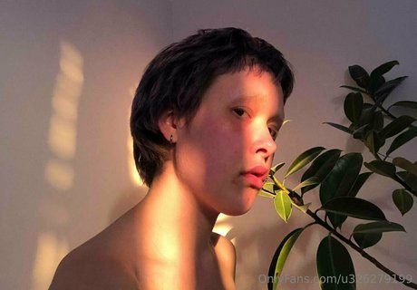 katana miko star image