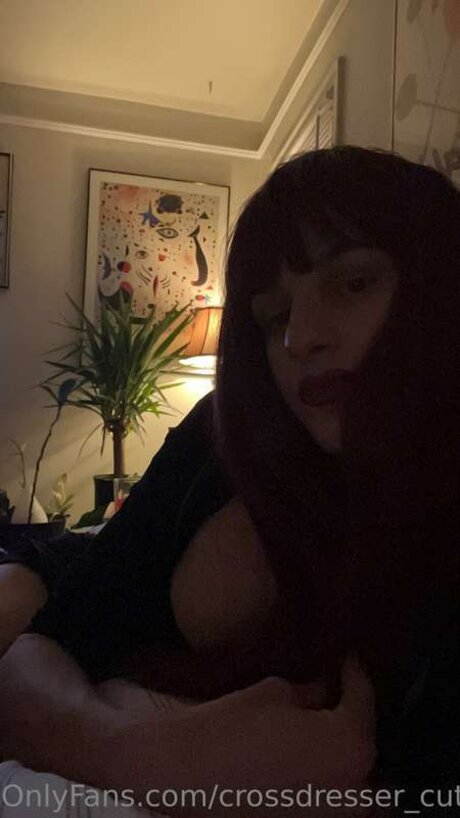 Crossdresser Cutie Vip sex star photo