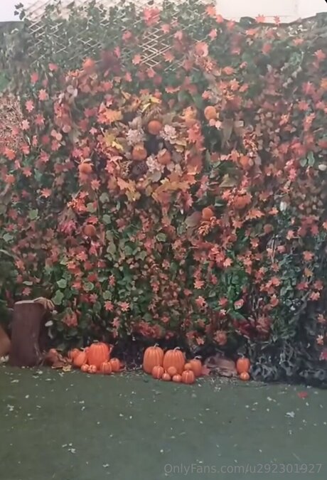 U292301927 star erotic galleries