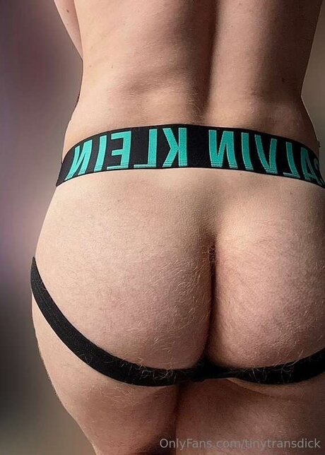 Tinytransdick hot star img