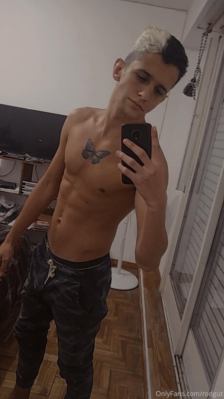 Rodgut hd star picture