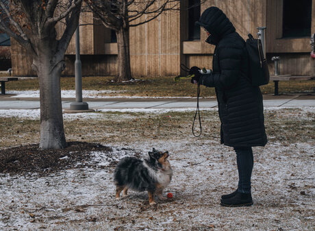 asian cheerleader onlyfans sexy nudes image