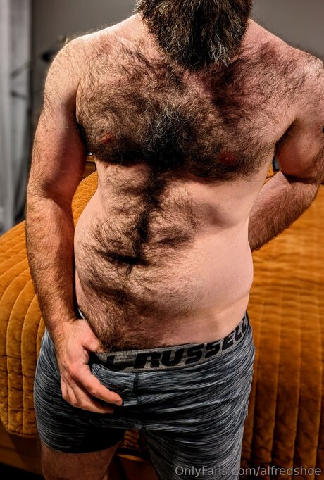 Alfredshoe high quality model image