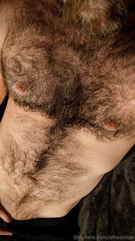 Alfredshoe pornstar nudes archive