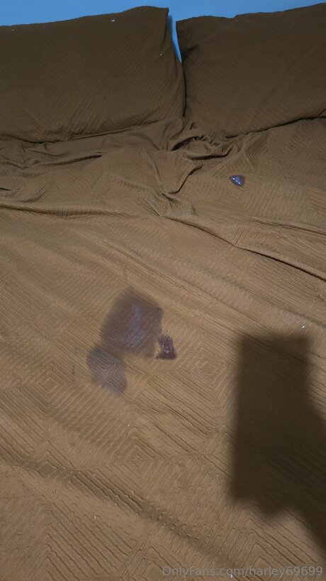 Harley69699 porn model image