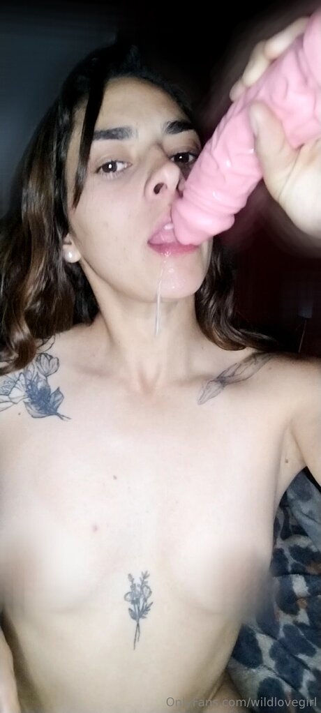 Wildlovegirl star nice archive