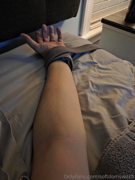 Softdomswitch beautiful pornstar pics