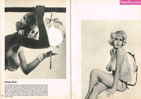 Vintage English Pinups art star img