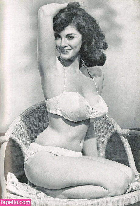 Vintage English Pinups model hot img