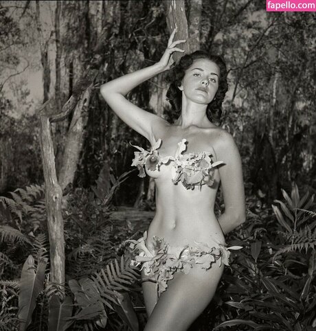 Vintage English Pinups perfect star images