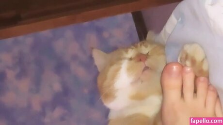 Xenaex free actress image