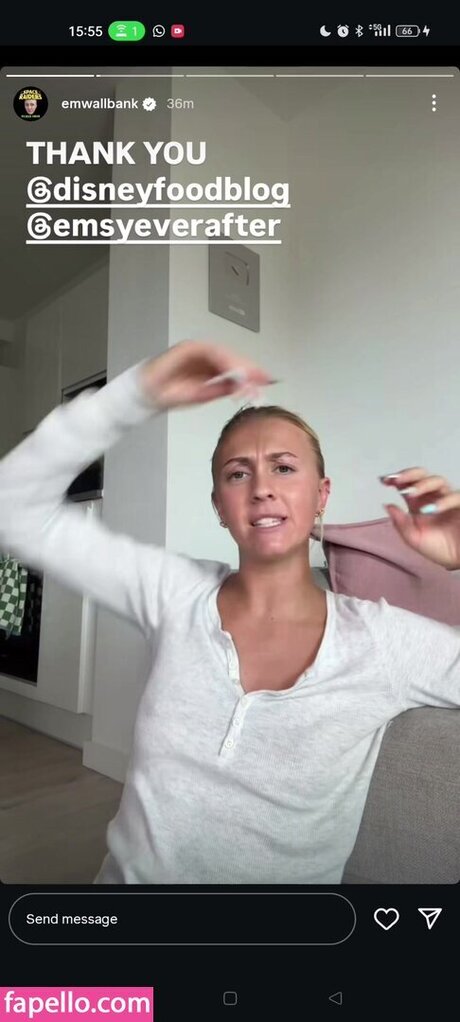 emwallbank star art pics