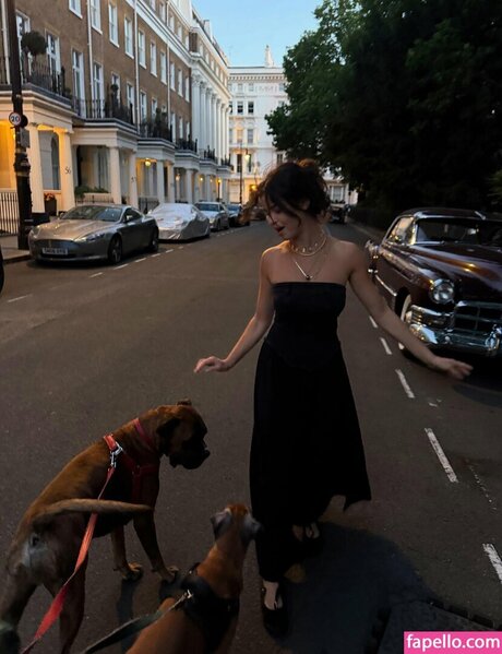 Cczur model art picture