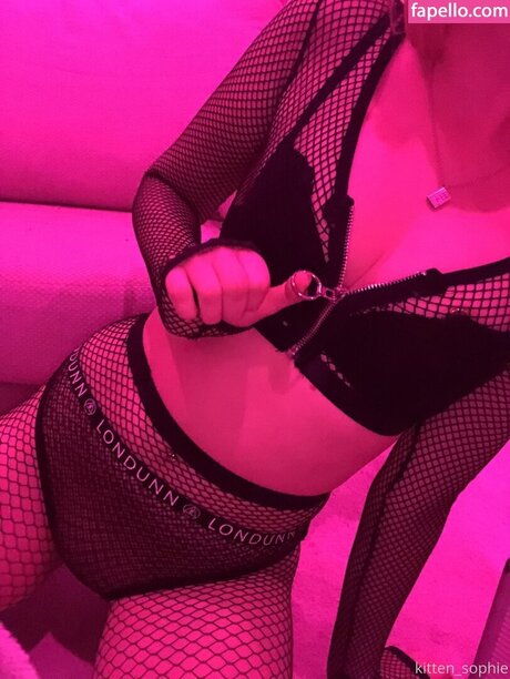 Kitten Kira star nice images