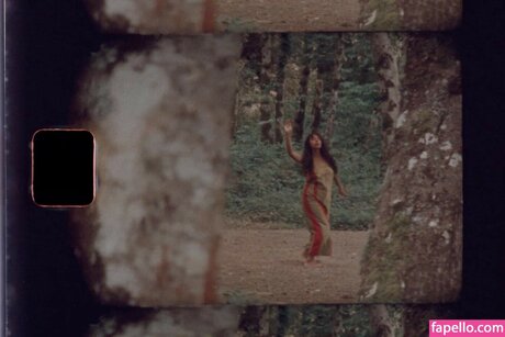 Spellling adult star pictures