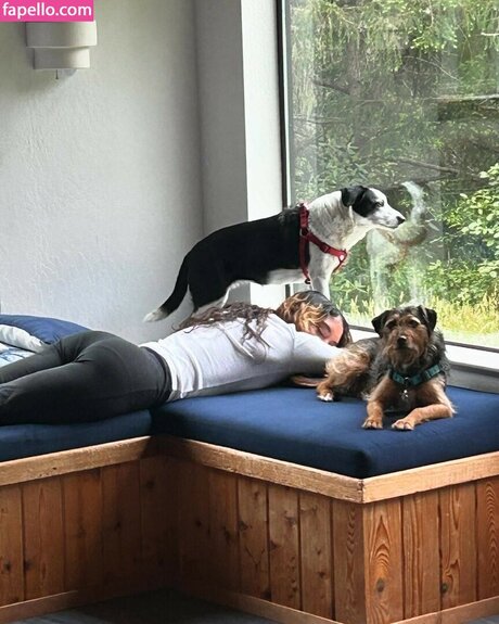 Spellling pornographic star img