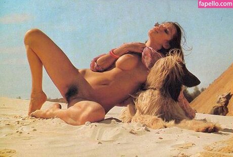 Brigitte Lahaie model perfect galleries