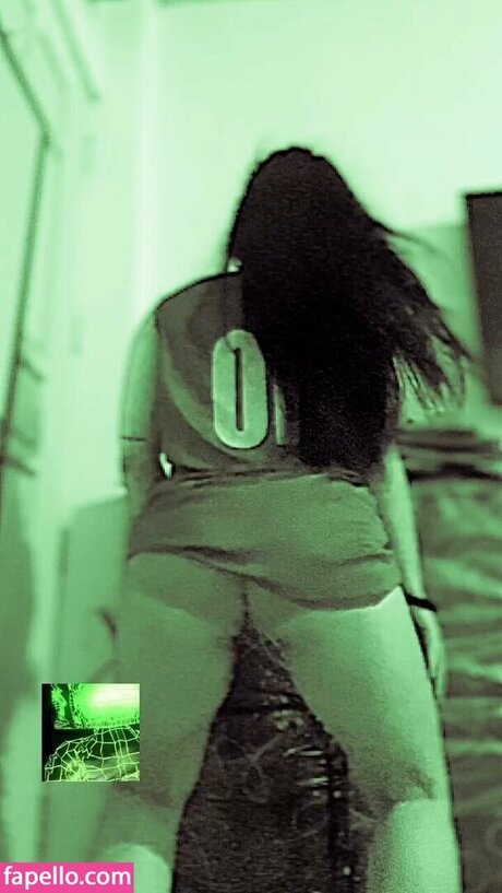 hani bee sexy star photo