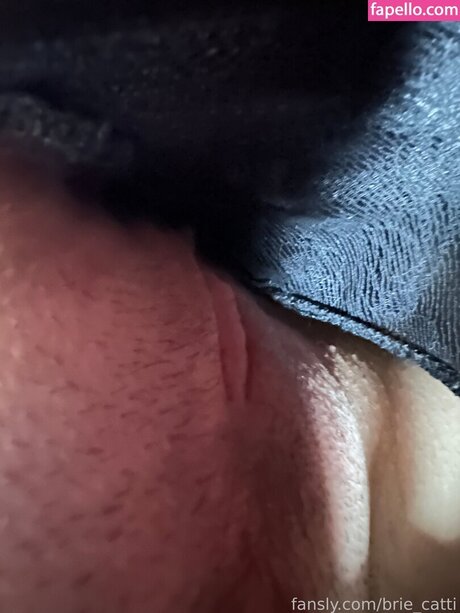 Brie cattii star hot galleries