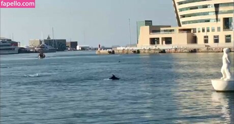 gioscotti star erotic image