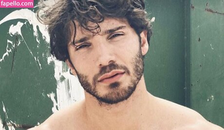 Stefano De Martino top star gallery