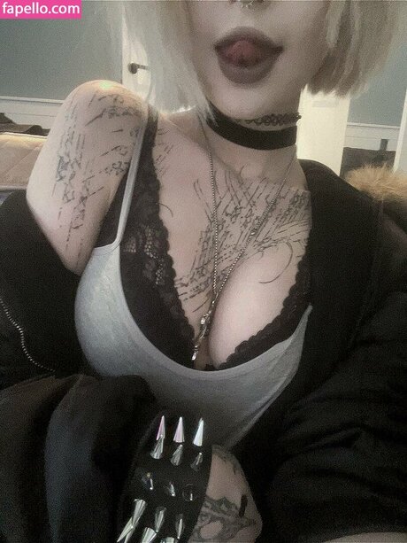 Paradoxy nice star images