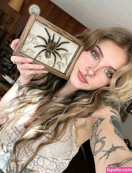 Mushbugs star galleries