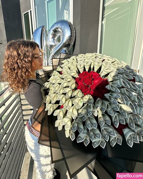 prymrr hd model pictures