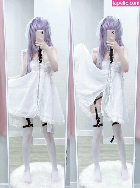 S Rodol 2 model top img