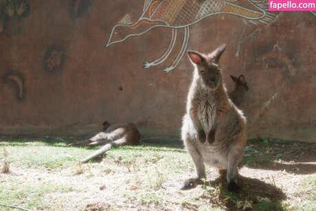 Ohkaylin pornstar best pictures