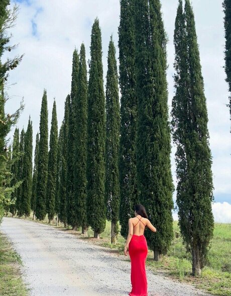 asian hairy onlyfans free nude photo