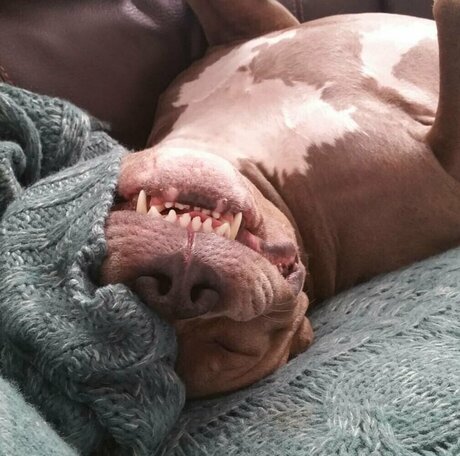 Courtneyhansen top pornstar picture