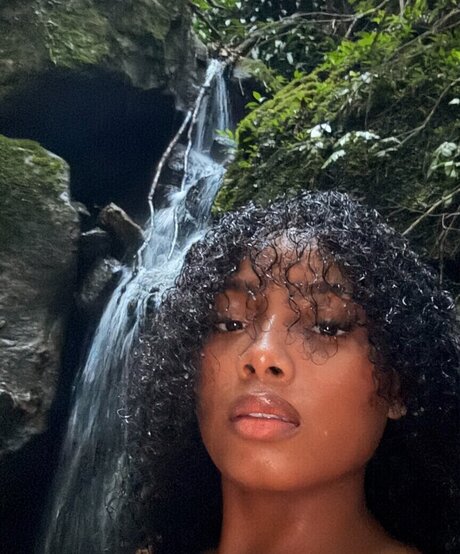 kortynie star free gallery