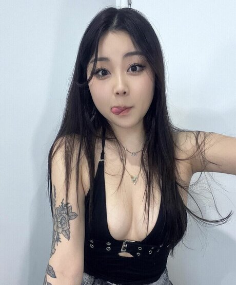 Hanavocado nice star gallery