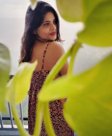 Tulika Snehil perfect star archive