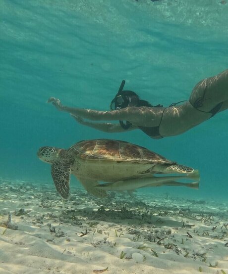 asian tattoo onlyfans free sexy photos