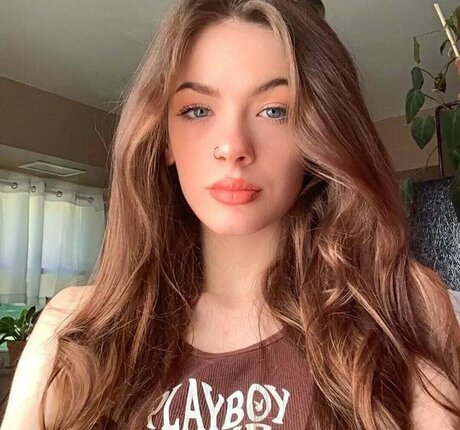 nic2hardo star art archive