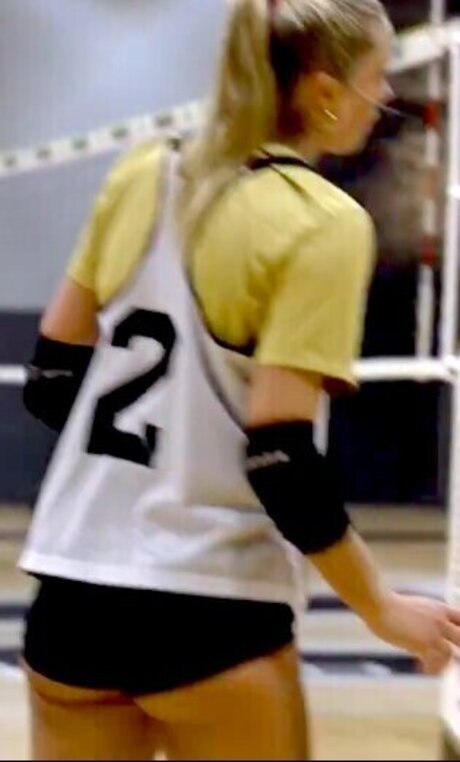 Taryn DeWese top pornstar archive