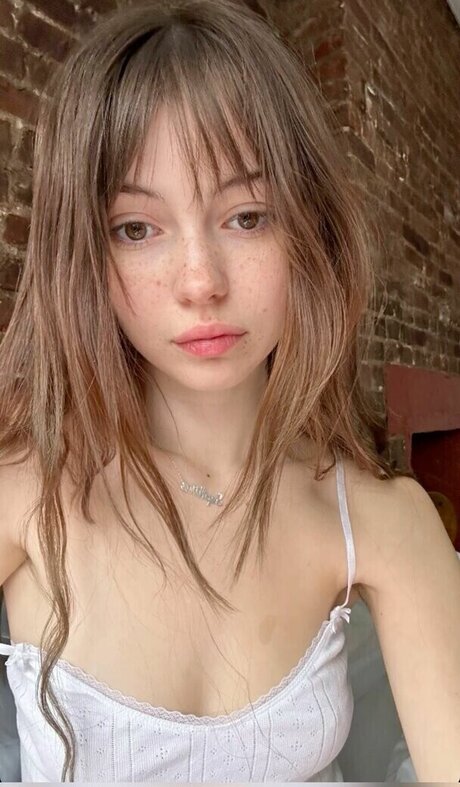 Sephira Lily Street star perfect gallery