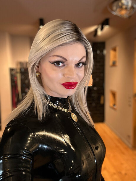 MissStolt star art images