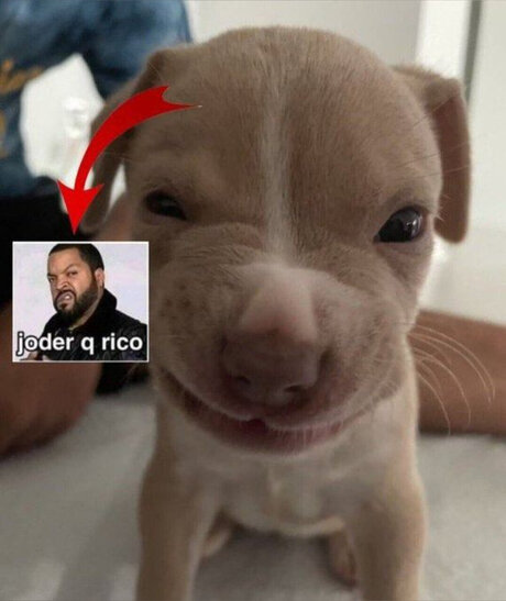 Mar29 pornstar nudes images