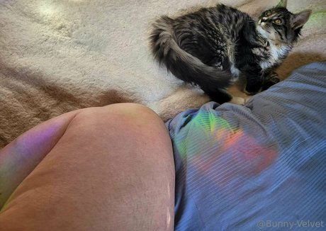 bunny velvet hot actress images