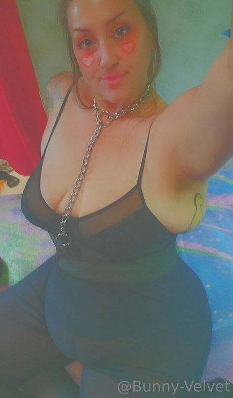 bunny velvet Profile Photo