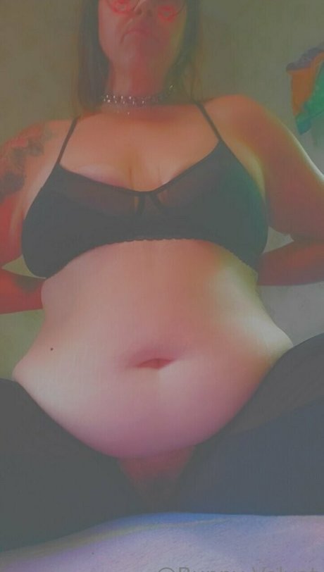 bunny velvet Photo Gallery