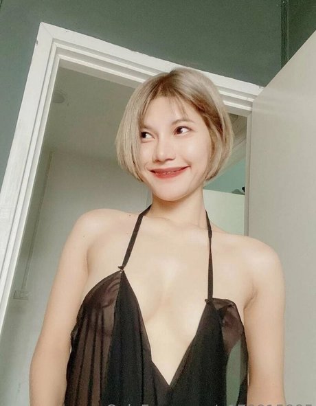 tonaor r nice pornstar gallery