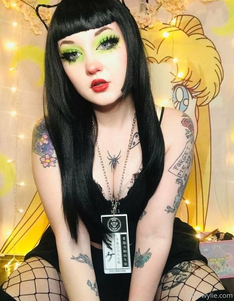 wildwylieafterhours free model image